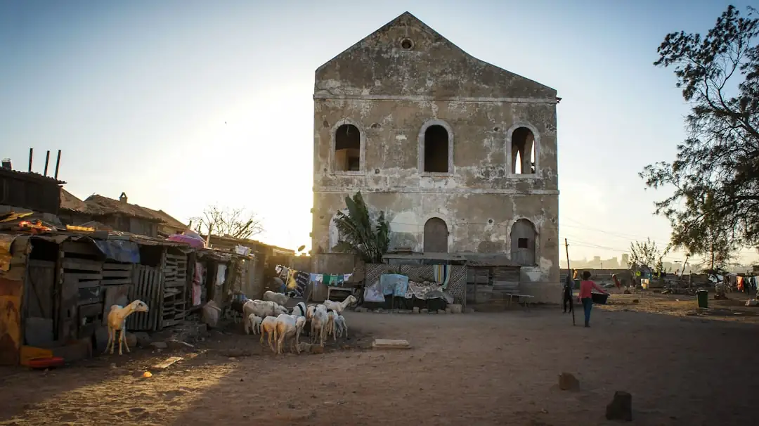 Immeubles résidentiels en construction à Dakar, avec voirie urbaine et grues sous une lumière de fin de journée.