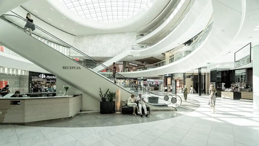 Allée piétonne d’un centre commercial de l’agglomération dijonnaise avec boutiques, végétation et visiteurs de dos.