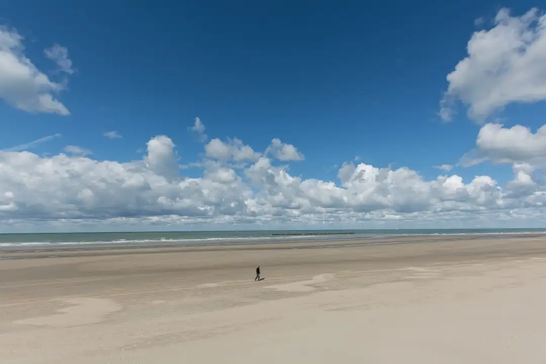 Quartier résidentiel de Dunkerque près du littoral, avec immeubles anciens et activité portuaire au loin.