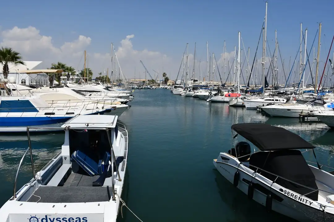 Marina urbaine avec pontons, bateaux de plaisance et commerces au bord de l’eau en Île-de-France.