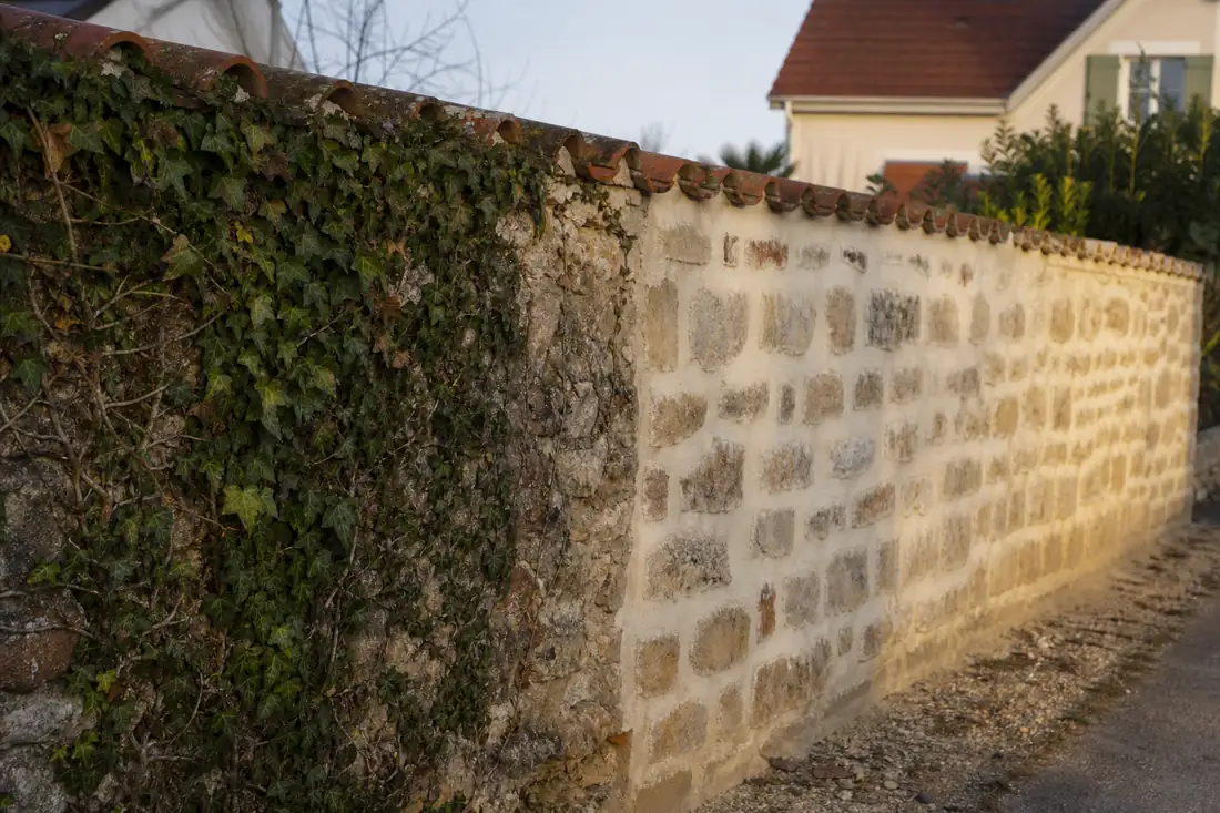 Mur de séparation en pierre et brique entre deux jardins, chaperon de tuiles au sommet et lierre sur une face