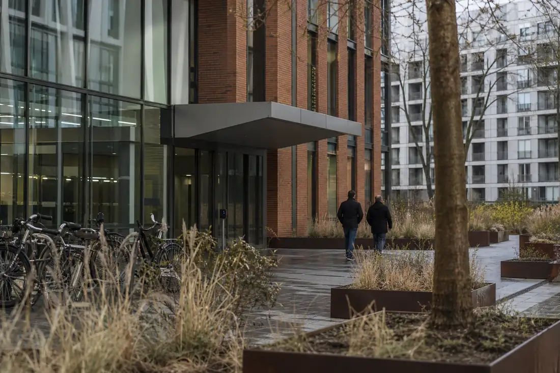 Immeuble de bureaux contemporain à Lille, avec parvis arboré, accès piéton, vélos et façades vitrées.
